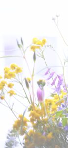 ナチュラルな花2