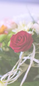 赤いバラのリース2