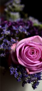 ピンクのバラと紫の花1