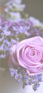 ピンクのバラと紫の花2