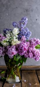 三色のライラック1