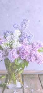 三色のライラック2