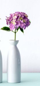 一輪挿しのあじさい