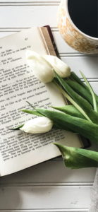 白いチューリップ1