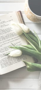 白いチューリップ2