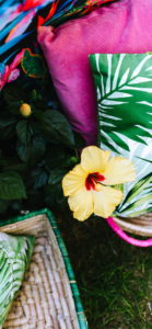 黄色いハイビスカス1