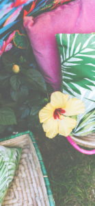 黄色いハイビスカス2