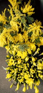 ミモザと黄色い花1