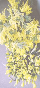 ミモザと黄色い花2