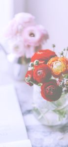 部屋に飾った赤い花2