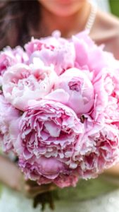 ピンクの花だけのブーケ1