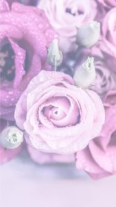 ピンクのバラのブーケ2