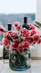 カーネーション1