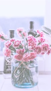 カーネーション2