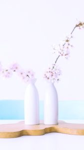 部屋に飾った桜2