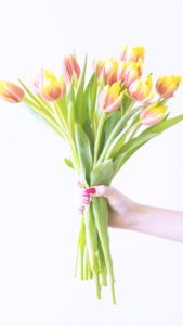 手に持ったチューリップ2