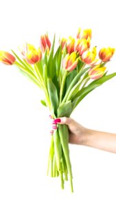 手に持ったチューリップ1