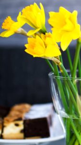 黄色いフリージア1