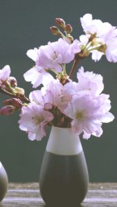 部屋に飾った桜B