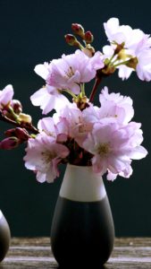 部屋に飾った桜A