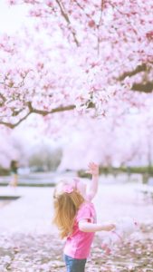 女の子と桜2