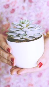 観葉植物と女の子2