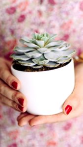 観葉植物と女の子1