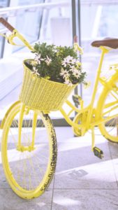 黄色い自転車と花2