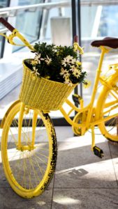 黄色い自転車と花1