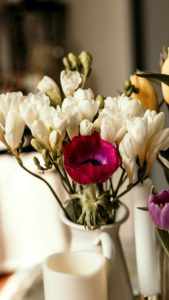 白いフリージア1