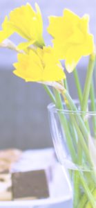 黄色いフリージア2