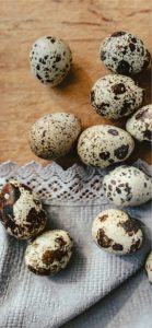 レースとウズラの卵1