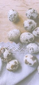 レースとウズラの卵2