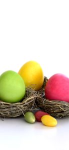 ３色の卵1