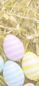 ストライプの卵2