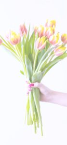 黄色とオレンジのチューリップ2