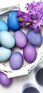 紫のイースターエッグ1