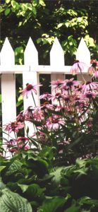 ピンクの花の花壇1