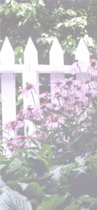 ピンクの花の花壇2