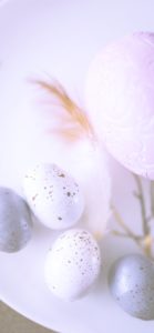 白とグレーの卵2