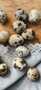 うずらのたまご1