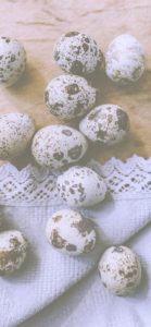 うずらのたまご2