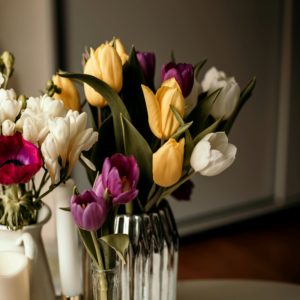 黄色と紫のチューリップ1