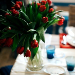 テーブルの赤いチューリップ1