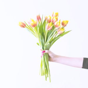 手に持ったチューリップ2