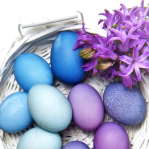 ブルーと紫の卵1