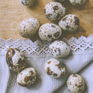 レースとうずらの卵2