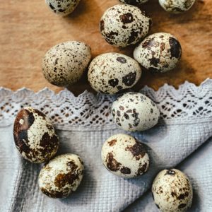 レースとうずらの卵1