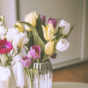 黄色と紫のチューリップA-2