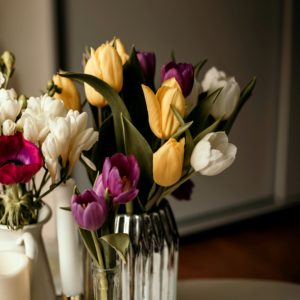 黄色と紫のチューリップ1